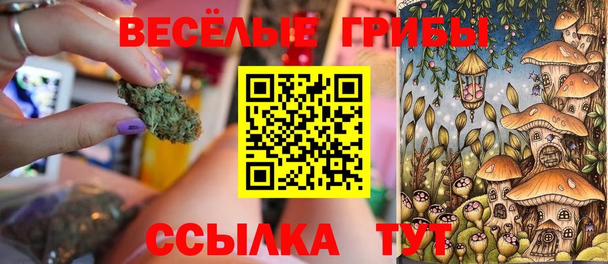 Галлюциногенные грибы Magic Shrooms Белгород
