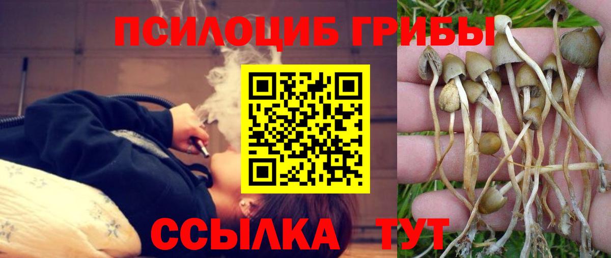 Белгород  Псилоцибиновые грибы мицелий  Галлюциногенные грибы ЛСД  Вход с VPN 